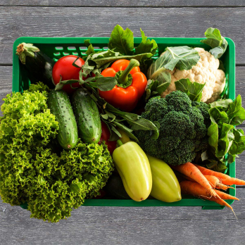 Saisonkiste extra groß