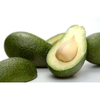Avocado Hass